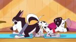 101_dalmatian_street 101_dalmatians anal anal_knotting anal_penetration animal_genitalia animal_penis ass_to_ass balls bodily_fluids butt canid canine canine_genitalia canine_penis canis collar cum cum_in_ass cum_inside cum_on_butt cum_on_leg cum_on_partner dalmatian disney domestic_dog duo dylan_(101_dalmatians) erection eyes_closed feral feral_on_feral feral_penetrated feral_penetrating feral_penetrating_feral fur genital_fluids genitals hansel_(101_dalmatians) husky knot knotted_penis knotting larger_penetrated male male/male male_penetrated male_penetrating male_penetrating_male mammal multicolored_body multicolored_fur nordic_sled_dog one_leg_up penetration penile penile_penetration penis raised_leg reverse_doggystyle sex size_difference spitz spots the_giant_hamster white_body white_fur
