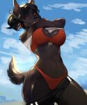 abs absurd_res anthro arm_tuft bangs beach belly big_butt bikini black_bottomwear black_clothing black_hair black_nose black_shorts bottomwear bra breasts brown_body brown_fur brown_hair butt camel_toe canid canine canis cheek_tuft chest_tuft clothing ear_piercing ear_ring facial_piercing facial_tuft fangs female fluffy fluffy_chest fur glistening glistening_body glistening_breasts glistening_eyes glistening_thighs gold_(metal) gold_nose_ring gold_piercing gold_tooth grin grinning_at_viewer hair hi_res hotpants hybrid lean_body light looking_at_viewer mammal medium_breasts minishorts navel nose_piercing nose_ring orange_eyes orange_sclera panties piercing ponytail red_bikini red_clothing red_panties red_swimwear red_underwear ring_piercing riveryxxx round_breasts shirt shorts shoulder_tuft sky slightly_chubby slightly_chubby_anthro slightly_chubby_female small_waist smile smiling_at_viewer solo sports_bra summer sunlight swimming_trunks swimwear t-shirt tail teeth teeth_showing thick_thighs thin_tail topwear tuft two-piece_swimsuit underwear undressing undressing_self vertical_bridge_piercing waist white_clothing white_shirt white_topwear wide_hips wolf wolfdog