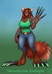  2021 5_fingers bottomwear breasts claws cleavage clothed clothing dark_body dark_skin denim denim_clothing digital_media_(artwork) dipstick_tail eyebrows female fingers fully_clothed fur hair hi_res humanoid jeans longblueclaw markings pants simple_background smile solo standing tail_markings terraria 