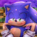  blue_body blue_fur clothing eulipotyphlan fur gloves green_eyes half-closed_eyes handwear hedgehog male mammal narrowed_eyes onechan sega solo sonic_prime sonic_the_hedgehog sonic_the_hedgehog_(series) 