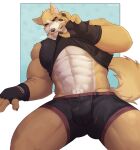  1boy abs animal_ears artist_name bara black_gloves black_male_underwear black_shirt boxers bulge claws clothes_lift cooper_krager daylight_sketch dog_boy dog_ears dog_tail english_commentary fingerless_gloves furry furry_male gloves highres looking_at_viewer male_focus male_underwear multiple_scars muscular muscular_male navel pawpads pectorals remember_the_flowers scar scar_across_eye scar_on_arm scar_on_face scar_on_nose shirt shirt_lift sleeveless sleeveless_shirt sweat tail underwear 