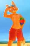  2022 absurd_res anthro areola ball beach beach_ball biped bottomwear breasts canid canine clothed clothing diane_foxington dreamworks eyewear female fox glasses half_naked hi_res inflatable male_swimwear_challenge mammal nipples outside sea seaside shorts small_breasts solo the-minuscule-task the_bad_guys topless topless_female water 