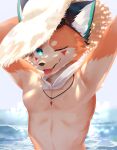  2022 7:9 anthro beach canid canine clothing eyewear eyewear_on_head fox foxy_(nekojita) fur goggles goggles_on_head hat headgear headwear hi_res male mammal nekojita one_eye_closed sea seaside solo summer tongue tongue_out water wink 