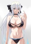  1girl absurdres bangs bare_shoulders bikini blue_eyes breasts cleavage collarbone fate/grand_order fate_(series) freed_turing grey_hair highres large_breasts long_hair looking_at_viewer morgan_le_fay_(fate) navel smile solo swimsuit 