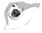  anthro canid canine canis close-up dark_lips domestic_dog eyelashes female floppy floppy_ears foreshortening guide_lines hair invalid_tag mammal mike_griffon monochrome one_eye_closed pillow realistic sketch snout wet_nose wink 