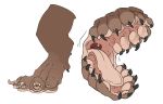  atiliusaugustus body_horror foot_mouth mammal multi_mouth open_mouth paws what what_has_science_done 
