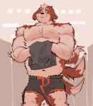  anthro boxers_(clothing) brown_body brown_fur canid canine canis clothing domestic_dog fur hi_res male mammal molosser mountain_dog saint_bernard soildweller solo tail_motion tailwag underwear undressing white_body white_fur 