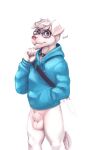  animal_genitalia anthro balls bastionshadowpaw bottomless canid canine clothed clothing eyewear genitals glasses hi_res hoodie male mammal sheath simple_background solo topwear white_background 