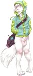  absurd_res animal_genitalia anthro balls bastionshadowpaw bottomless canid canine clothed clothing eyewear genitals glasses hand_in_pocket hi_res hoodie male mammal pockets sheath simple_background solo topwear white_background 