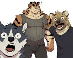  abs black_clothing black_shirt black_topwear bottomwear canid canine canis clothed clothing confusion eyebrows fangs felid gakujo hi_res hyaenid looking_at_viewer male mammal meme muscular open_mouth pantherine pants pecs question_mark shirt shocked_expression simple_background standing stripes t-shirt tank_top teeth thick_eyebrows tiger tongue topwear white_background wolf 