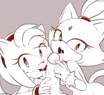  amy_rose anthro blaze_the_cat blush domestic_cat eulipotyphlan felid feline felis fellatio female genitals group hedgehog hi_res human interspecies looking_at_viewer male male/female mammal open_mouth oral penile penis sega sex sonic_the_hedgehog_(series) tenshigarden tongue tongue_out trio 
