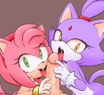  amy_rose anthro blaze_the_cat blush colored domestic_cat edit eulipotyphlan felid feline felis fellatio female genitals group hedgehog hi_res human interspecies looking_at_viewer male male/female mammal open_mouth oral penile penis sega sex sonic_the_hedgehog_(series) tenshigarden tongue tongue_out trio 