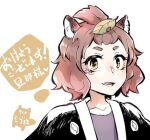  1girl :d alternate_hairstyle animal_ears black_kimono brown_eyes brown_hair close-up forehead futatsuiwa_mamizou japanese_clothes kimono leaf leaf_on_head looking_at_viewer open_mouth raccoon_ears raccoon_girl short_hair simple_background smile solo touhou white_background yurutintin 