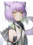  absurdres animal_ear_fluff animal_ears bangs blush cat_ears cat_girl cat_tail closed_mouth commission copyright_name green_eyes highres looking_at_viewer original paw_print purple_hair short_hair simple_background skeb_commission smile tab_head tail upper_body white_background 