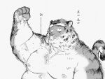  2022 4:3 anthro belly big_belly felid hi_res humanoid_hands japanese_text kemono male mammal monochrome moobs nipples overweight overweight_male pantherine pommn_mn simple_background solo text tiger 
