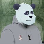  anthro clothed clothing fur giant_panda hi_res hoodie male mammal overweight overweight_male pandaandy solo topwear ursid white_body white_fur 