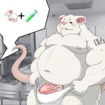  2022 anthro belly big_belly blush clothing erection genitals gomdepp hi_res humanoid_genitalia humanoid_hands humanoid_penis kemono male mammal moobs murid murine navel nipples overweight overweight_male penis rat rodent solo underwear white_body 