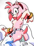  amy_rose anal anon anthro breasts eulipotyphlan female first_person_view hedgehog hi_res human humanoid male male/female mammal nipples randomguy999 sega sex sonic_the_hedgehog_(series) 