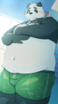  2022 anthro balls_outline belly big_belly black_body black_nose blush bulge clothing genital_outline giant_panda green_clothing green_eyes green_underwear hi_res kemono male mammal menmen_kesinn moobs navel nipples overweight overweight_male penis_outline solo underwear ursid white_body 