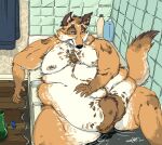  armpit_hair bath bathing bathroom bathtub belly belly_overhang body_hair bong canid canine chest_hair chest_tuft detailed_background drugs fox happy_trail hi_res looking_at_viewer lying male mammal moobs nipples obese obese_male on_back overweight overweight_male solo southernyote stuck tuft 