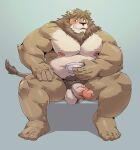  2022 absurd_res anthro belly big_belly blush felid genitals hi_res humanoid_genitalia humanoid_hands humanoid_penis jumperbear kemono lion male mammal moobs musclegut nipples overweight overweight_male pantherine penis sitting solo 