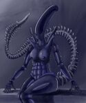  2022 absurd_res alien alien_(franchise) alien_humanoid anthro athletic athletic_female big_breasts big_butt biped black_body breasts butt colored curvaceous curvy_figure digital_drawing_(artwork) digital_media_(artwork) female grey_background hi_res humanoid light lips nipples nude pianoplayingdragon simple_background sitting solo tail thick_thighs voluptuous xenomorph 