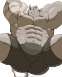  abs anthro armpit_hair big_muscles body_hair bulge butt clothed clothing grey_body hair hi_res horn low-angle_view male mammal muscular muscular_anthro muscular_male nipples pecs rhinocerotoid simple_background solo topless underwear underwear_only vitashi white_background 