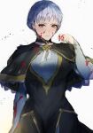  1girl 3h_aria black_capelet blood blood_on_clothes blood_on_face blood_on_hands blue_dress blue_hair blush braid brown_eyes capelet closed_mouth commentary crown_braid dress fire_emblem fire_emblem:_three_houses highres long_sleeves looking_at_viewer marianne_von_edmund neck_ribbon ribbon short_hair simple_background solo sweatdrop white_background white_ribbon 