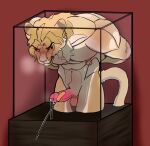  anthro bdsm bondage boni_(artist) bound caged container dio_brando exhibitionism genitals glass glass_container hi_res humanoid_genitalia humanoid_penis jojo&#039;s_bizarre_adventure male nipple_piercing nipples penetration penile penile_penetration penis piercing presenting ring scar solo testicle_cuff tickling tickling_penis 