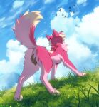  adelar_elric animal_genitalia animal_pussy avian big_pussy bird canid canine canine_pussy canis cloud feral fur genitals grass hi_res looking_up mammal pink_body pink_fur plant pussy raised_tail rear_view solo wolf 