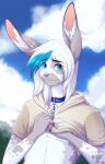  2022 anthro blue_eyes clothed clothing collar day detailed_background digital_media_(artwork) eyebrows eyelashes hair hi_res hoodie lagomorph leporid looking_at_viewer male mammal outside rabbit silvyr sky smile solo topwear white_hair 