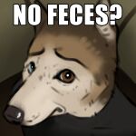  anthro canid canine male mammal meme no_bitches? reyes_(sepulte) sepulte solo text 
