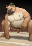  2022 absurd_res anthro barontoko belly big_belly black_nose blush brown_body canid canine canis censored domestic_dog eyes_closed genitals hi_res humanoid_genitalia humanoid_hands humanoid_penis kemono lifewonders male mammal moobs navel nipples overweight overweight_male penis scar solo sumo sumo_ring tokyo_afterschool_summoners video_games yasuyori 