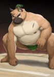  2022 absurd_res anthro asian_clothing barontoko belly big_belly brown_body canid canine canis clothing cute_fangs domestic_dog east_asian_clothing hi_res humanoid_hands japanese_clothing kemono lifewonders male mammal mawashi moobs nipples overweight overweight_male scar solo sumo sumo_ring tokyo_afterschool_summoners video_games yasuyori 