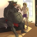  anthro bed bedroom belly big_belly boxers_(clothing) bulge canid canine canis clothed clothing erection erection_under_clothing fur furniture grey_body grey_fur group hi_res holding_belly hypnicjerk male male/male mammal oral_vore size_difference tenting trio underwear vore wolf 