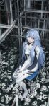  1girl absurdres ayanami_rei blue_hair bodysuit chair evangelion:_1.0_you_are_(not)_alone flower highres long_hair looking_at_viewer neon_genesis_evangelion plugsuit rebuild_of_evangelion red_eyes sitting solo wangan white_flower 