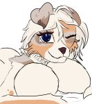  2022 alayna_(senip) anthro australian_shepherd bed big_breasts blue_eyes breasts brown_nose butt canid canine canis colored digital_drawing_(artwork) digital_media_(artwork) domestic_dog eyelashes female floppy_ears fur furniture hair herding_dog lying mammal mulitcoloured_fur multicolored_body necklase on_bed on_breasts on_front one_eye_closed pastoral_dog sernix sheepdog sketch smile solo tailless wink 