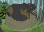  belly big_belly bodily_fluids burping drooling feral hi_res male mammal open_mouth saliva smokeygraypaws ursid vore 