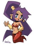  2017 5_fingers blue_eyes breasts clothing ear_piercing ear_ring english_text female fingers footwear genie hair humanoid humanoid_pointy_ears kasui_jirou long_hair not_furry open_mouth open_smile piercing ponytail purple_hair shantae shantae_(series) simple_background smile solo text topwear video_games wayforward white_background 