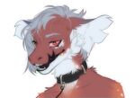  anthro black_lips black_tongue bust_portrait collar dragon fur furred_dragon grey_hair hair inner_ear_fluff ishimaurell leash licking licking_lips lips looking_at_viewer male portrait red_body red_eyes red_fur solo teeth tongue tongue_out tuft white_body white_fur 