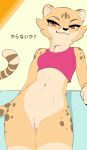  abs akino_(kemokin_mania) anthro arm_support athletic athletic_female bottomless bottomless_female brown_eyes cheetah clothed clothing felid feline female fur genitals haaru hi_res japanese_text leaning_on_elbow mammal markings multicolored_body multicolored_fur navel pussy simple_background smile solo spots spotted_body spotted_fur tail_markings text 