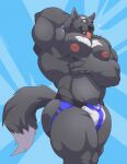  2022 abstract_background absurd_res anthro barazoku biceps big_bulge big_muscles big_nipples big_pecs blue_background bulge butt canid canine canis claws clothing fur hand_behind_head hand_on_chest hi_res huge_muscles huge_pecs jockstrap male mammal muscular muscular_anthro muscular_male navel nipples obliques pec_grasp pecs simple_background smile solo standing teeth thick_thighs tongue tongue_out tuft tylerstark underwear wolf 