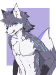  anthro belly black_body black_fur black_nose blue_body blue_eyes blue_fur border canid canine chest_tuft dipstick_tail fox fur grey_body grey_fur head_tuft hi_res inner_ear_fluff looking_at_viewer male mammal markings multicolored_body multicolored_fur navel purple_background simple_background solo tail_markings tongue tongue_out tuft ul_(artist) white_belly white_body white_border white_fur white_inner_ear white_inner_ear_fluff 