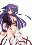  breasts cleavage collar ginga_nakajima green_eyes large_breasts lyrical_nanoha mahou_shoujo_lyrical_nanoha_strikers nagii nipple_slip nipples open_clothes open_shirt purple_hair shirt solo tentacles torn_clothes 