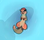  anthro baseball_cap blush chester_the_otter clothing eledensfw floating hat hat_only headgear headgear_only headwear headwear_only hi_res looking_at_viewer lutrine male mammal mostly_nude mustelid nude penis_shadow shadow solo water 