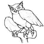  4_toes ambiguous_gender anisodactyl avian beak bird claws feathered_wings feathers feet feral hi_res looking_at_viewer monochrome owl perch simple_background solo spread_wings tail_feathers toes white_background wide_eyed wings yojek163 