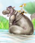  2016 avian beshte bird common_hippopotamus disney duo eyes_closed feral hair hand_on_shoulder heron hi_res hippopotamid looking_at_another looking_back male mammal ono open_mouth outside overweight overweight_feral overweight_male pelecaniform short_tail sitting sitting_in_water size_difference teeth the_lion_guard the_lion_king tongue water wet xtrent968 