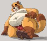  2022 anthro belly big_belly brown_body bulge canid canine clothing dj-rodney duo feet foot_fetish male mammal micro moobs navel nipples overweight overweight_male raccoon_dog simple_background sitting size_difference tanuki tongue tongue_out underwear ursid 