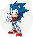  2014 5_fingers alpha_channel anthro bandage bandanna blue_body classic_sonic_(universe) clothing eulipotyphlan fingers footwear gloves handwear hedgehog kerchief looking_at_viewer male mammal nkognz sega shoes signature simple_background solo sonic_boom sonic_the_hedgehog sonic_the_hedgehog_(series) 