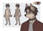  anthro brown_hair butt canid canine clothed clothing color_swatch digital_media_(artwork) ear_piercing facial_piercing featureless_crotch fur grey_body grey_clothing grey_fur grey_shirt grey_topwear hair hi_res male mammal model_sheet nipple_piercing nipples nose_piercing nude off/on piercing pink_nipples red_clothing red_shirt red_topwear roma_(romarom) romarom septum_piercing shirt solo topwear undershirt 
